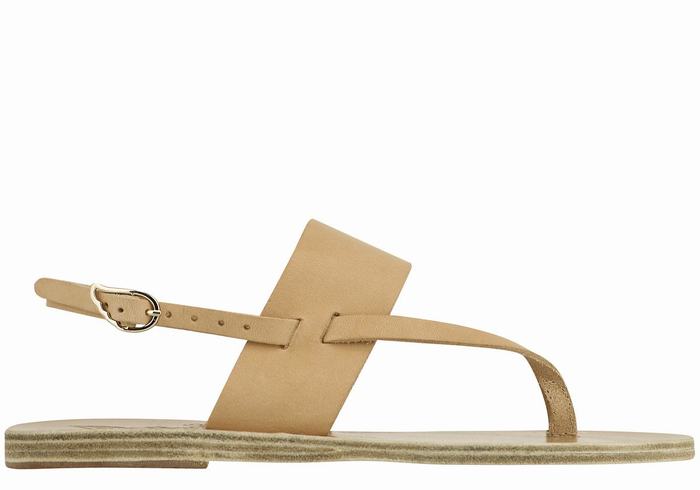 Sandales Bride Arrière Ancient Greek Sandals Zoe Flip Flop Leather   | EET-8010102